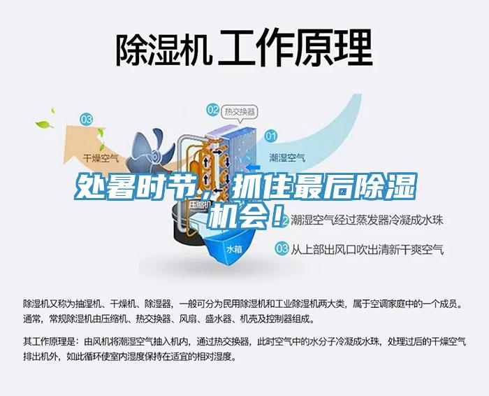 處暑時(shí)節，抓住最后除濕機會(huì )！