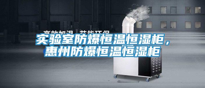 實(shí)驗室防爆恒溫恒濕柜，惠州防爆恒溫恒濕柜