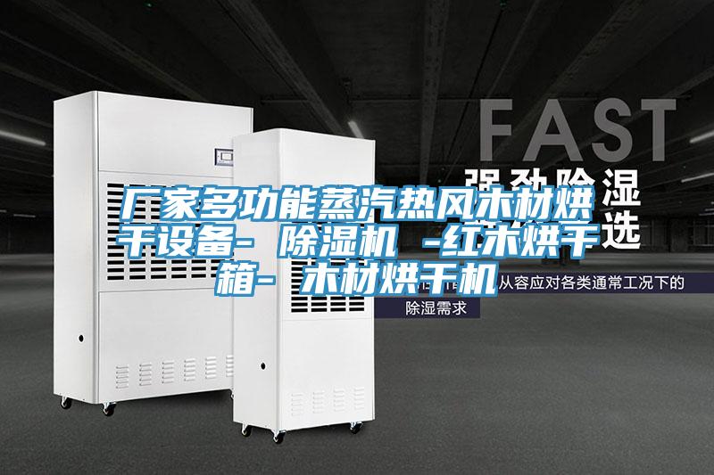 廠(chǎng)家多功能蒸汽熱風(fēng)木材烘干設備- 除濕機 -紅木烘干箱- 木材烘干機