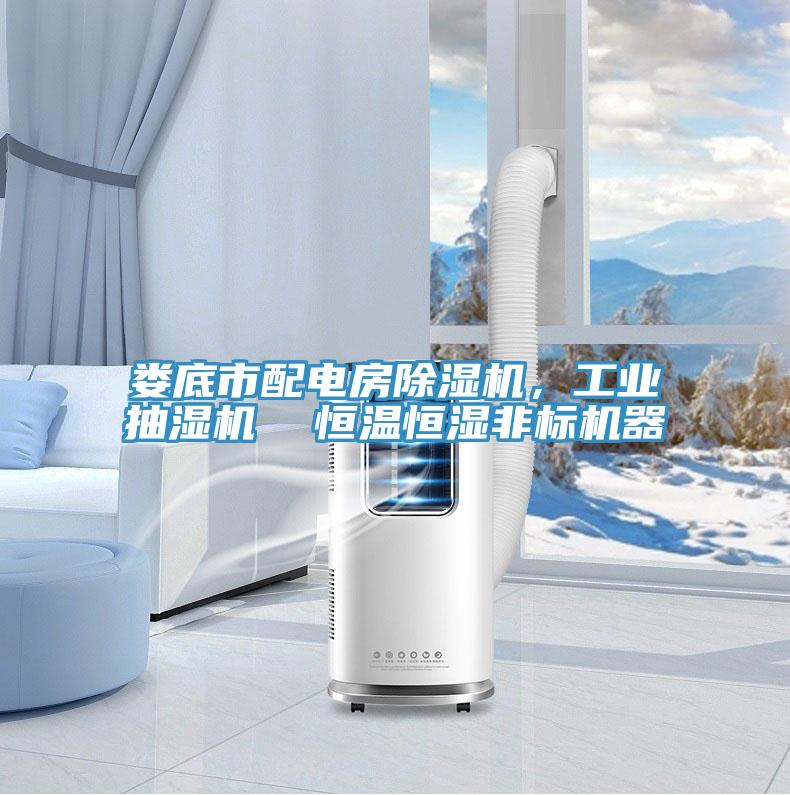 婁底市配電房除濕機，工業(yè)抽濕機  恒溫恒濕非標機器