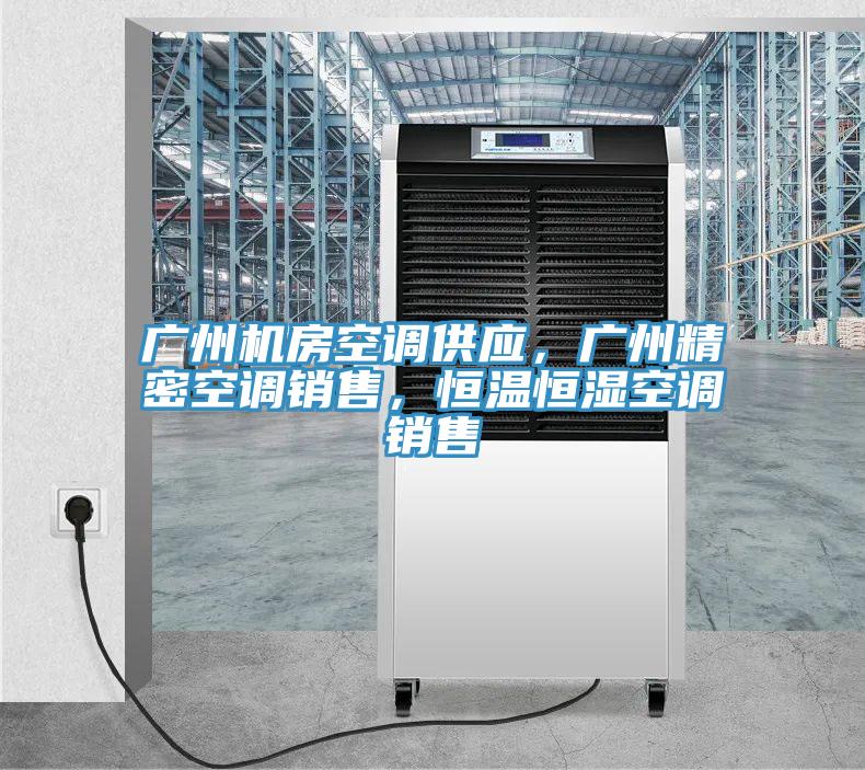 廣州機房空調供應，廣州精密空調銷(xiāo)售，恒溫恒濕空調銷(xiāo)售