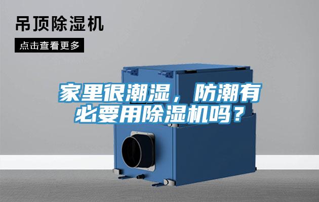 家里很潮濕，防潮有必要用除濕機嗎？