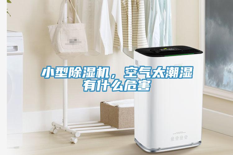 小型除濕機，空氣太潮濕有什么危害