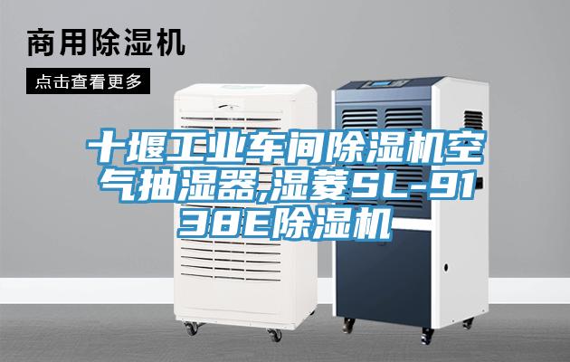 十堰工業(yè)車(chē)間除濕機空氣抽濕器,濕菱SL-9138E除濕機