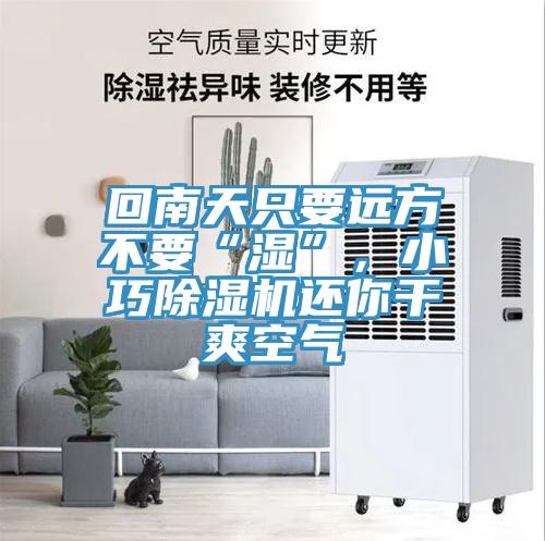 回南天只要遠方不要“濕”，小巧除濕機還你干爽空氣