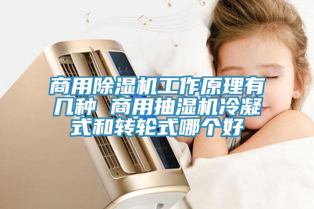 商用除濕機工作原理有幾種 商用抽濕機冷凝式和轉輪式哪個(gè)好