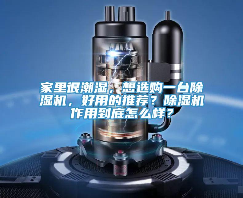 家里很潮濕，想選購一臺除濕機，好用的推薦？除濕機作用到底怎么樣？