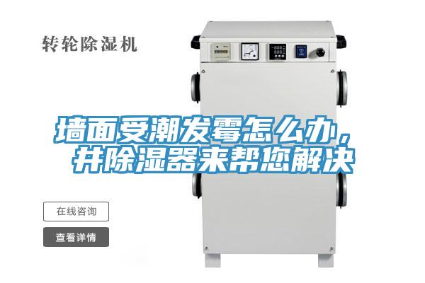 墻面受潮發(fā)霉怎么辦，東井除濕器來(lái)幫您解決