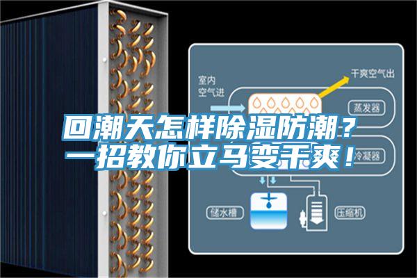 回潮天怎樣除濕防潮？一招教你立馬變干爽！