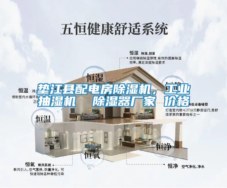 墊江縣配電房除濕機，工業(yè)抽濕機  除濕器廠(chǎng)家 價(jià)格