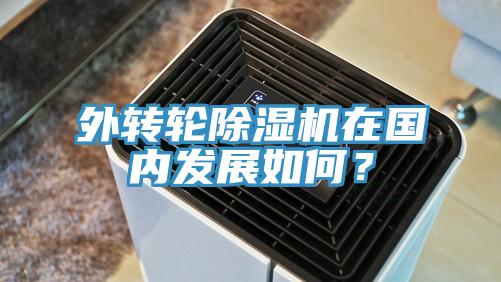 外轉輪除濕機在國內發(fā)展如何？