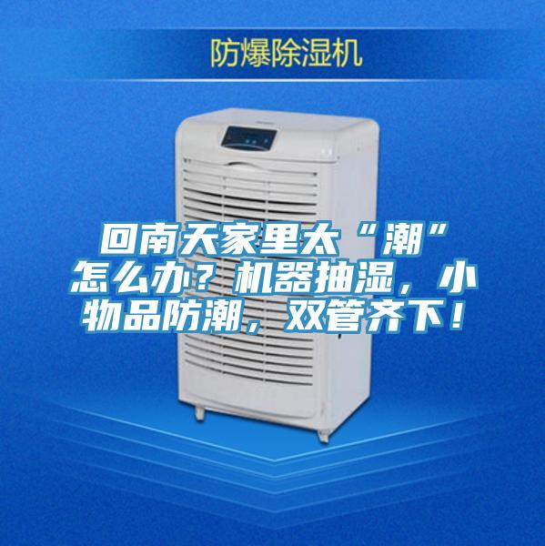 回南天家里太“潮”怎么辦？機器抽濕，小物品防潮，雙管齊下！