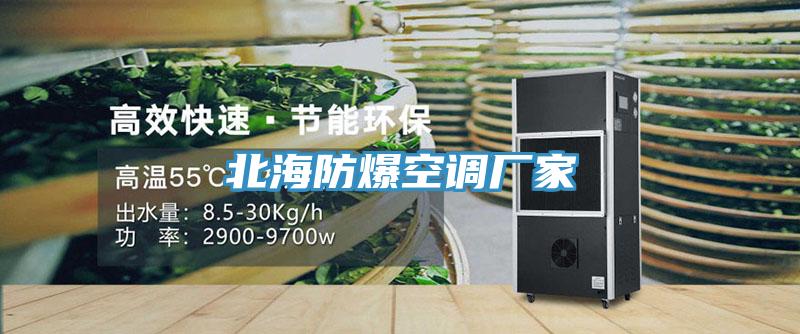 北海防爆空調廠(chǎng)家