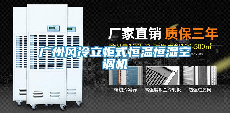 廣州風(fēng)冷立柜式恒溫恒濕空調機