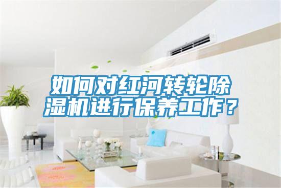 如何對紅河轉輪除濕機進(jìn)行保養工作？