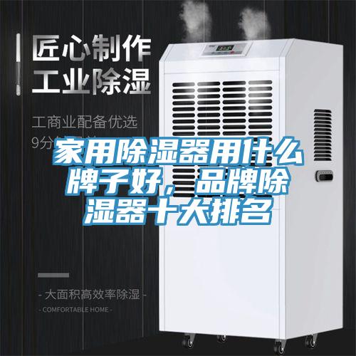 家用除濕器用什么牌子好，品牌除濕器十大排名
