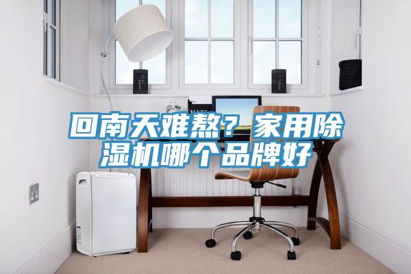 回南天難熬？家用除濕機哪個(gè)品牌好