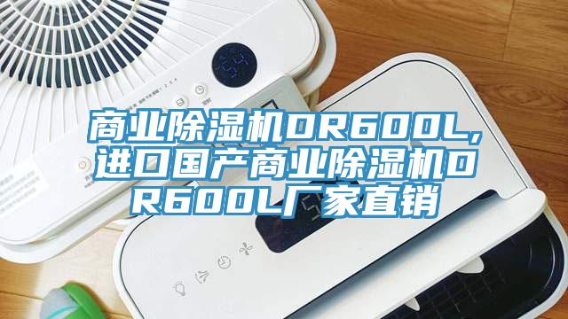 商業(yè)除濕機DR600L,進(jìn)口國產(chǎn)商業(yè)除濕機DR600L廠(chǎng)家直銷(xiāo)