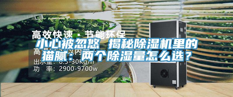 小心被忽悠 揭秘除濕機里的貓膩：兩個(gè)除濕量怎么選？