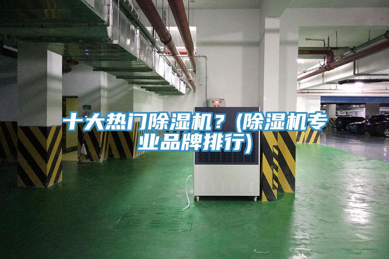 十大熱門(mén)除濕機？(除濕機專(zhuān)業(yè)品牌排行)