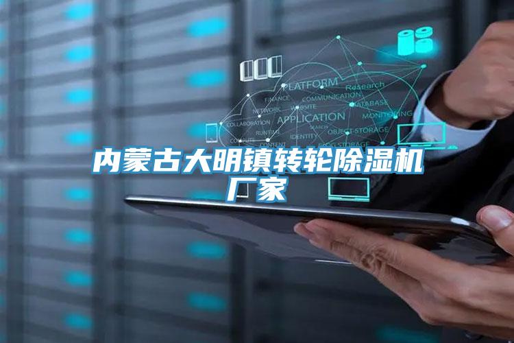 內蒙古大明鎮轉輪除濕機廠(chǎng)家