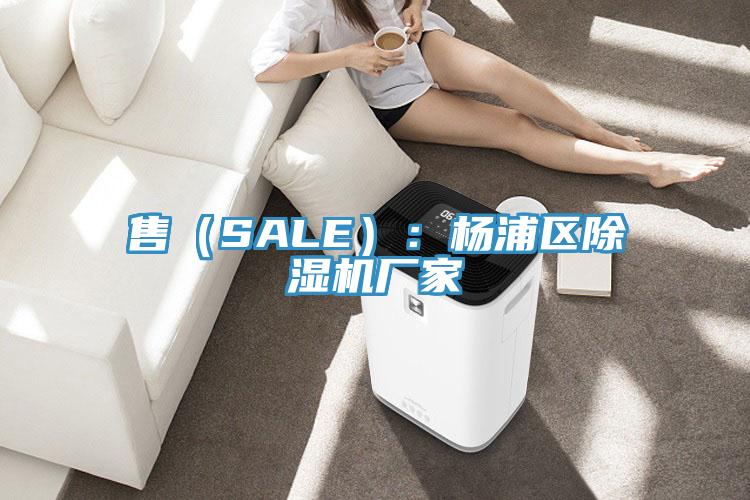 售（SALE）：楊浦區除濕機廠(chǎng)家