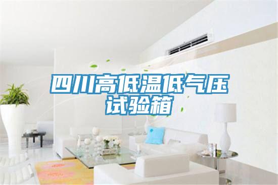 四川高低溫低氣壓試驗箱