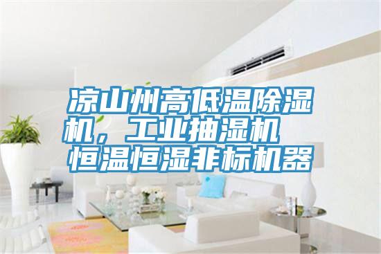 涼山州高低溫除濕機，工業(yè)抽濕機  恒溫恒濕非標機器