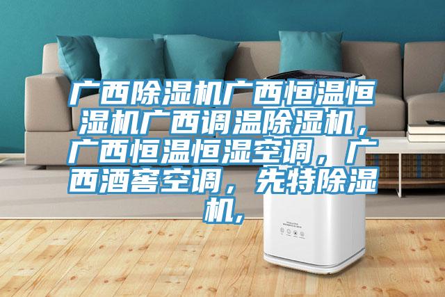 廣西除濕機廣西恒溫恒濕機廣西調溫除濕機，廣西恒溫恒濕空調，廣西酒窖空調，先特除濕機,