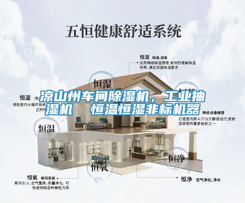 涼山州車(chē)間除濕機，工業(yè)抽濕機  恒溫恒濕非標機器