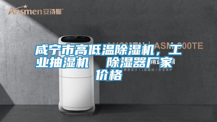咸寧市高低溫除濕機，工業(yè)抽濕機  除濕器廠(chǎng)家 價(jià)格