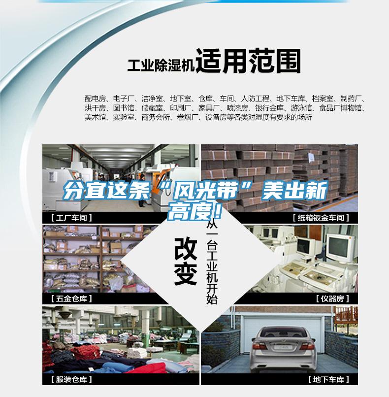 分宜這條“風(fēng)光帶”美出新高度！