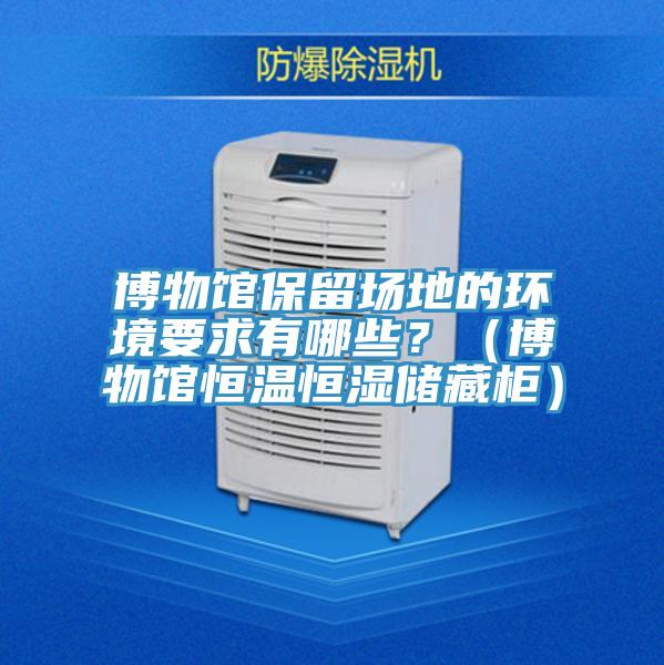 博物館保留場(chǎng)地的環(huán)境要求有哪些？（博物館恒溫恒濕儲藏柜）