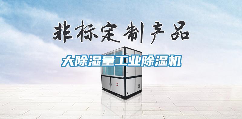 大除濕量工業(yè)除濕機