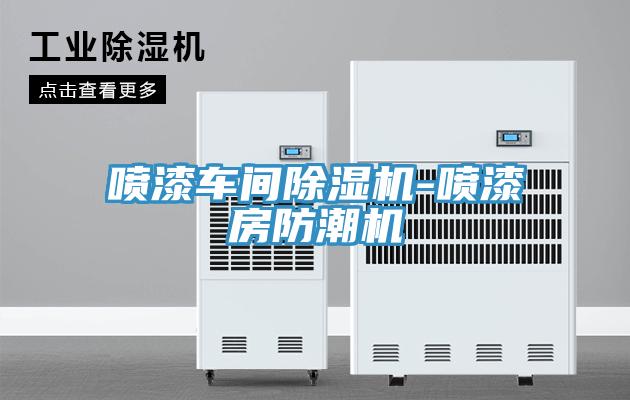 噴漆車(chē)間除濕機-噴漆房防潮機