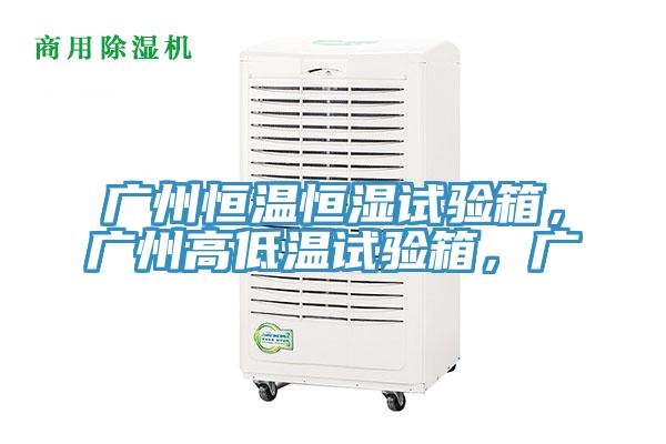 廣州恒溫恒濕試驗箱，廣州高低溫試驗箱，廣