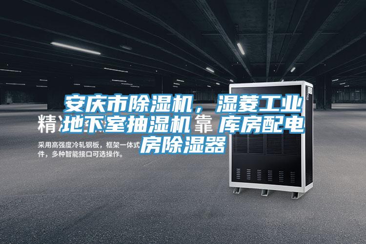 安慶市除濕機，濕菱工業(yè)地下室抽濕機  庫房配電房除濕器