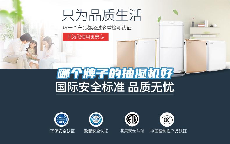 哪個(gè)牌子的抽濕機好