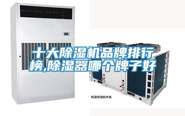 十大除濕機品牌排行榜,除濕器哪個(gè)牌子好