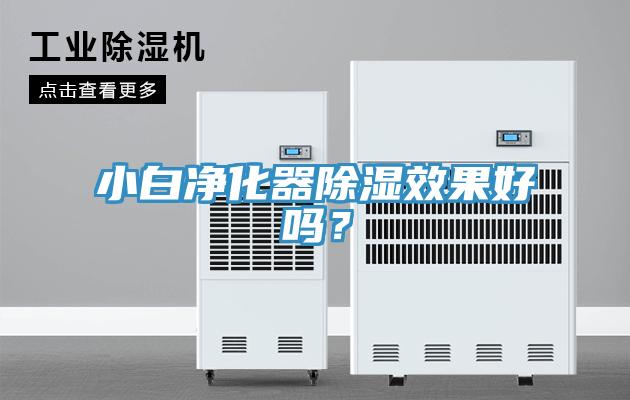 小白凈化器除濕效果好嗎？