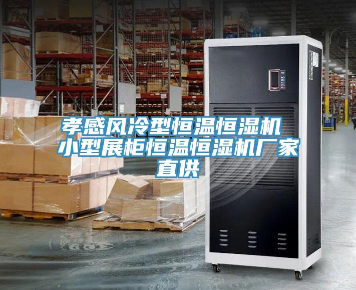 孝感風(fēng)冷型恒溫恒濕機 小型展柜恒溫恒濕機廠(chǎng)家直供