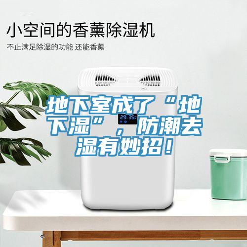 地下室成了“地下濕”，防潮去濕有妙招！