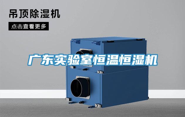 廣東實(shí)驗室恒溫恒濕機