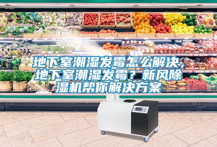 地下室潮濕發(fā)霉怎么解決，地下室潮濕發(fā)霉？新風(fēng)除濕機幫你解決方案