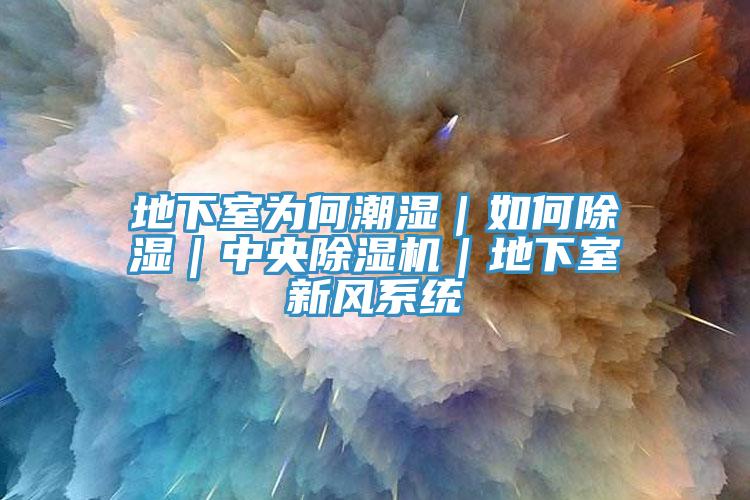 地下室為何潮濕｜如何除濕｜中央除濕機｜地下室新風(fēng)系統