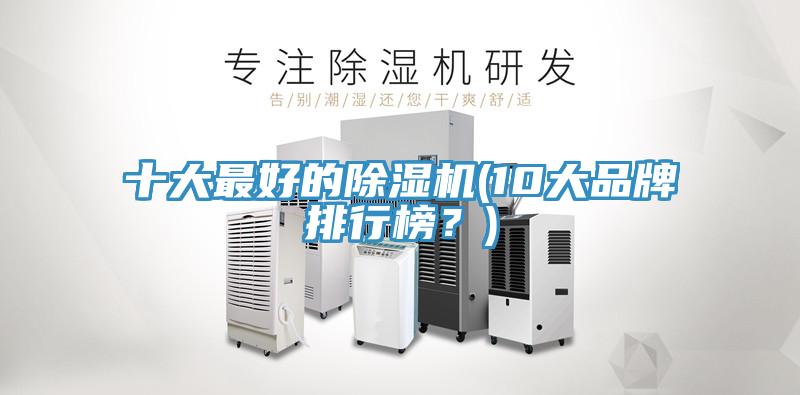 十大最好的除濕機(10大品牌排行榜？)