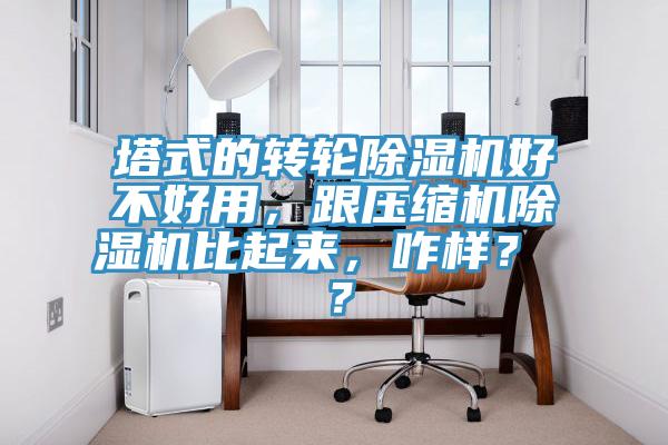 塔式的轉輪除濕機好不好用，跟壓縮機除濕機比起來(lái)，咋樣？ ？