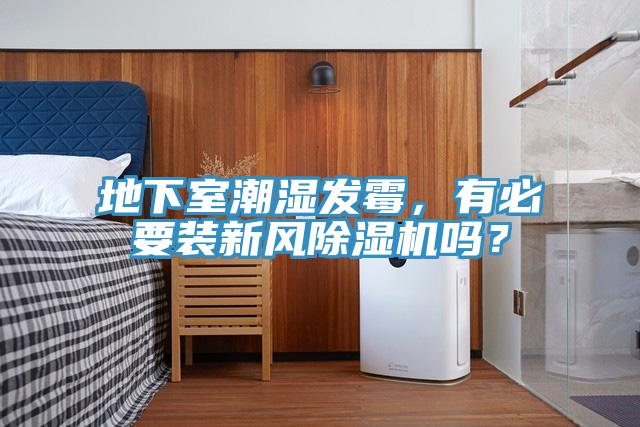 地下室潮濕發(fā)霉，有必要裝新風(fēng)除濕機嗎？