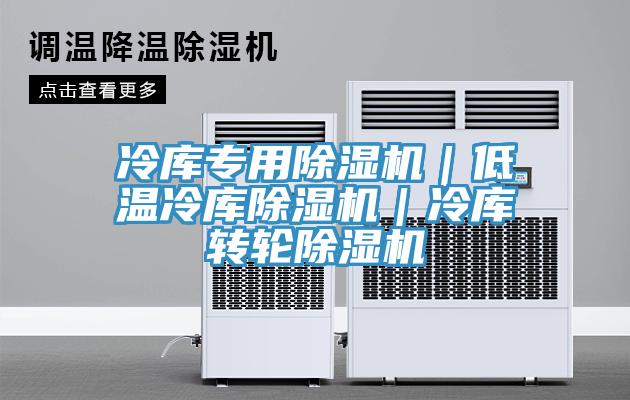 冷庫專(zhuān)用除濕機｜低溫冷庫除濕機｜冷庫轉輪除濕機