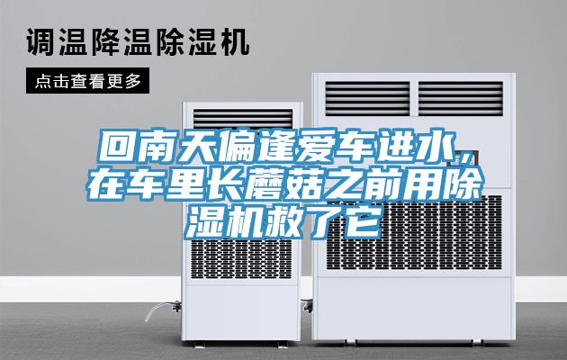 回南天偏逢愛(ài)車(chē)進(jìn)水，在車(chē)里長(cháng)蘑菇之前用除濕機救了它